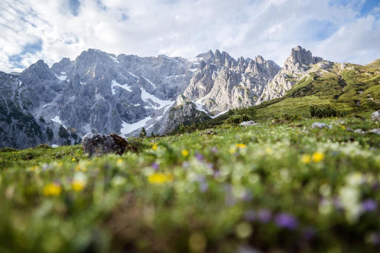 Alpenparks Hotel & Apartment Hochkoenig Mühlbach am Hochkönig Zewnętrze zdjęcie