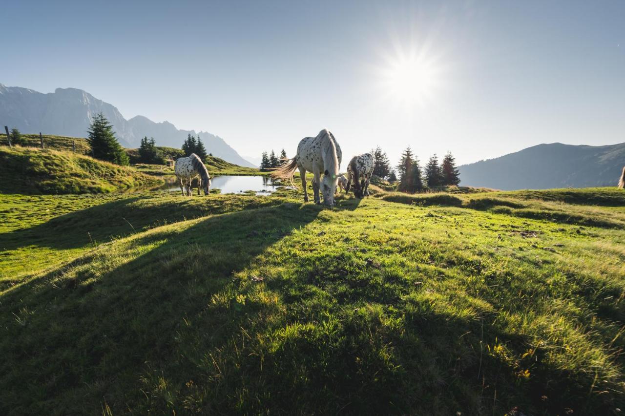 Alpenparks Hotel & Apartment Hochkoenig Mühlbach am Hochkönig Zewnętrze zdjęcie